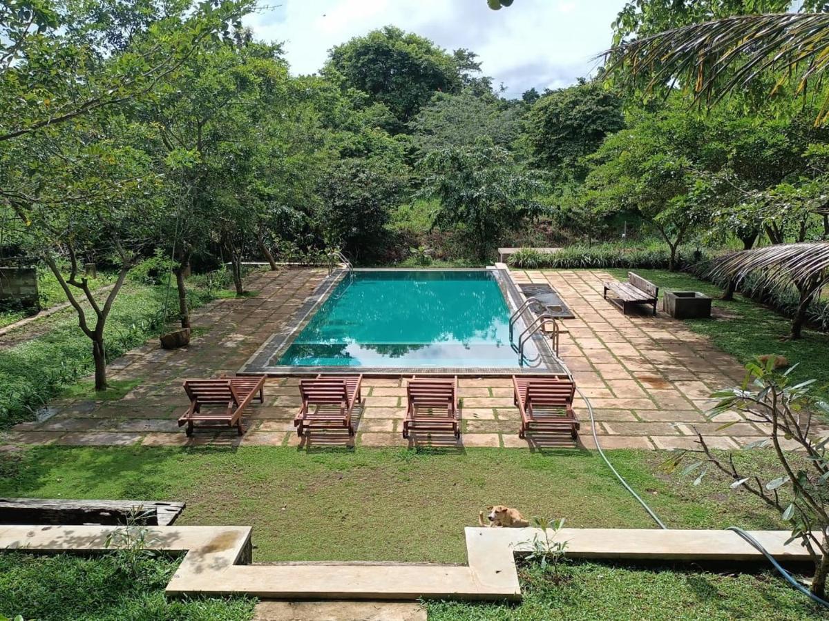 Spice Village Hotel & Restaurant Habarana Exterior photo